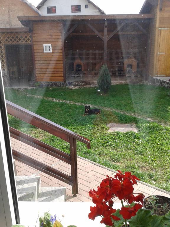 Pension Piatra Craiului Моєчу-де-Жос Екстер'єр фото